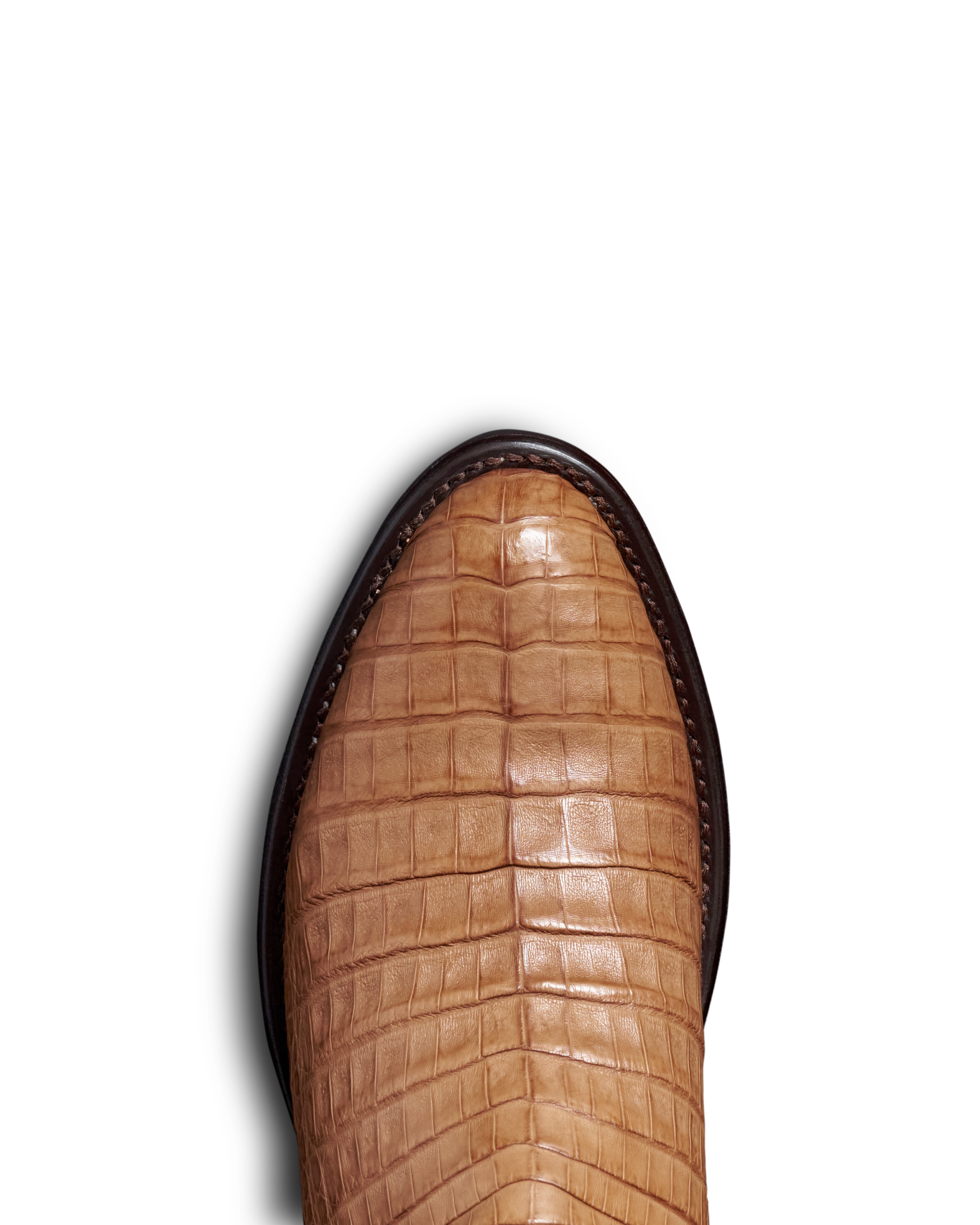The Dillon - Caramel Caiman