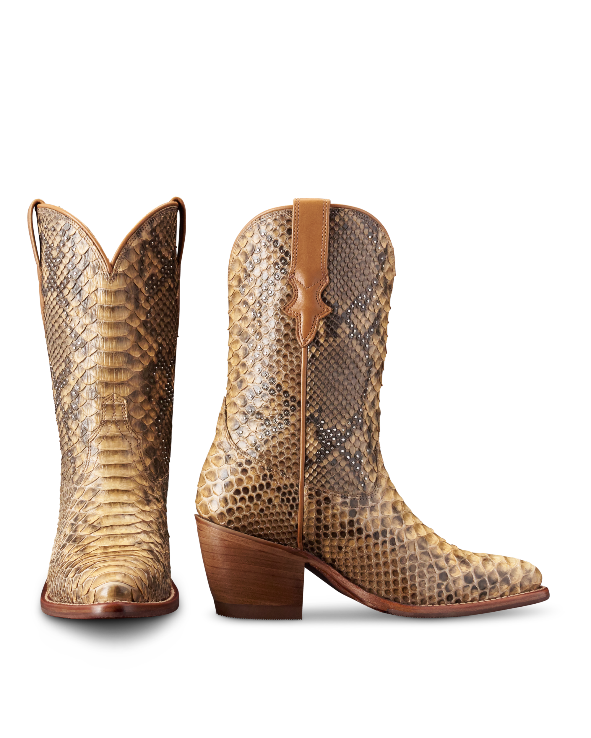 The Cassie - Natural Python
