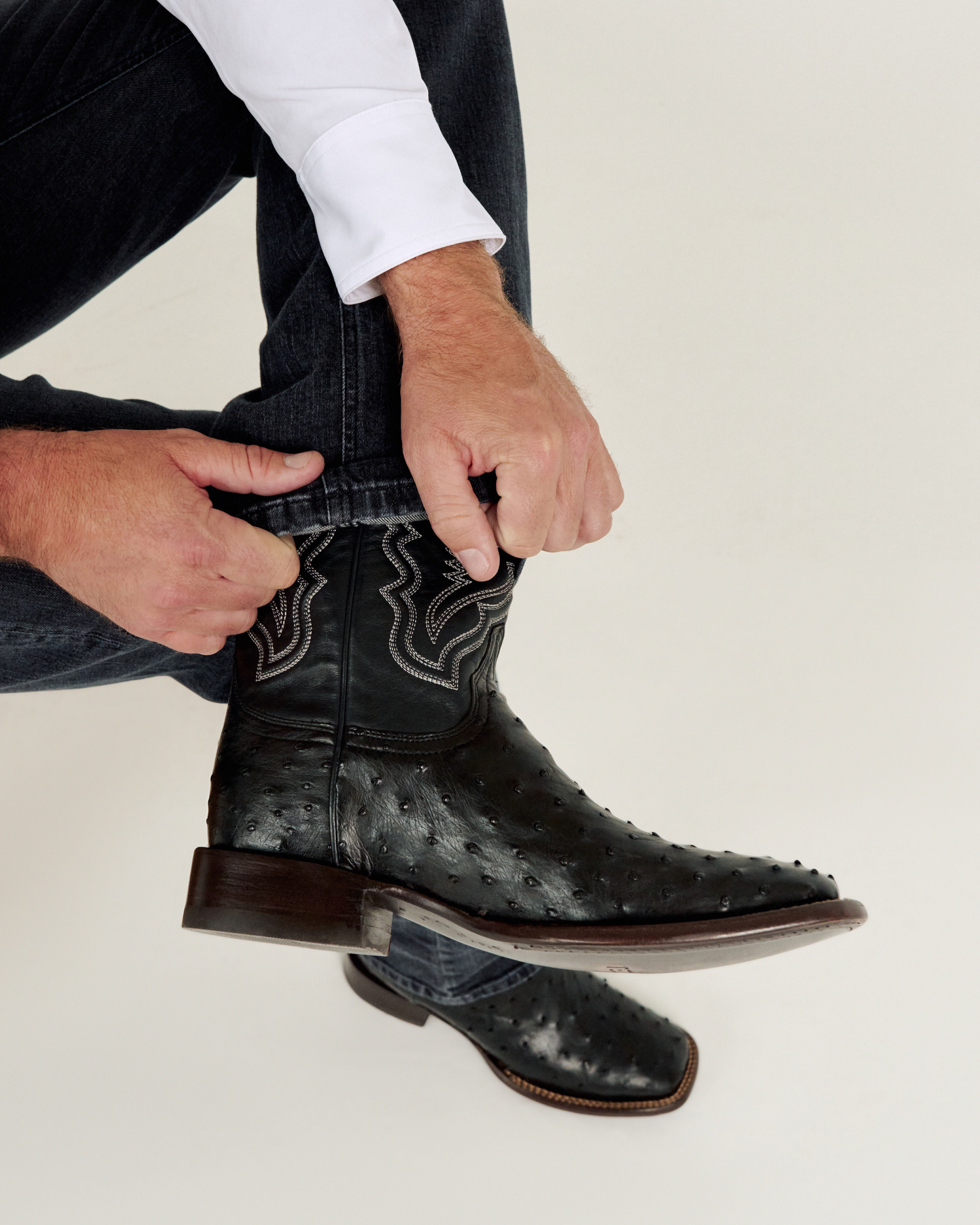 The Emmitt - Midnight Ostrich