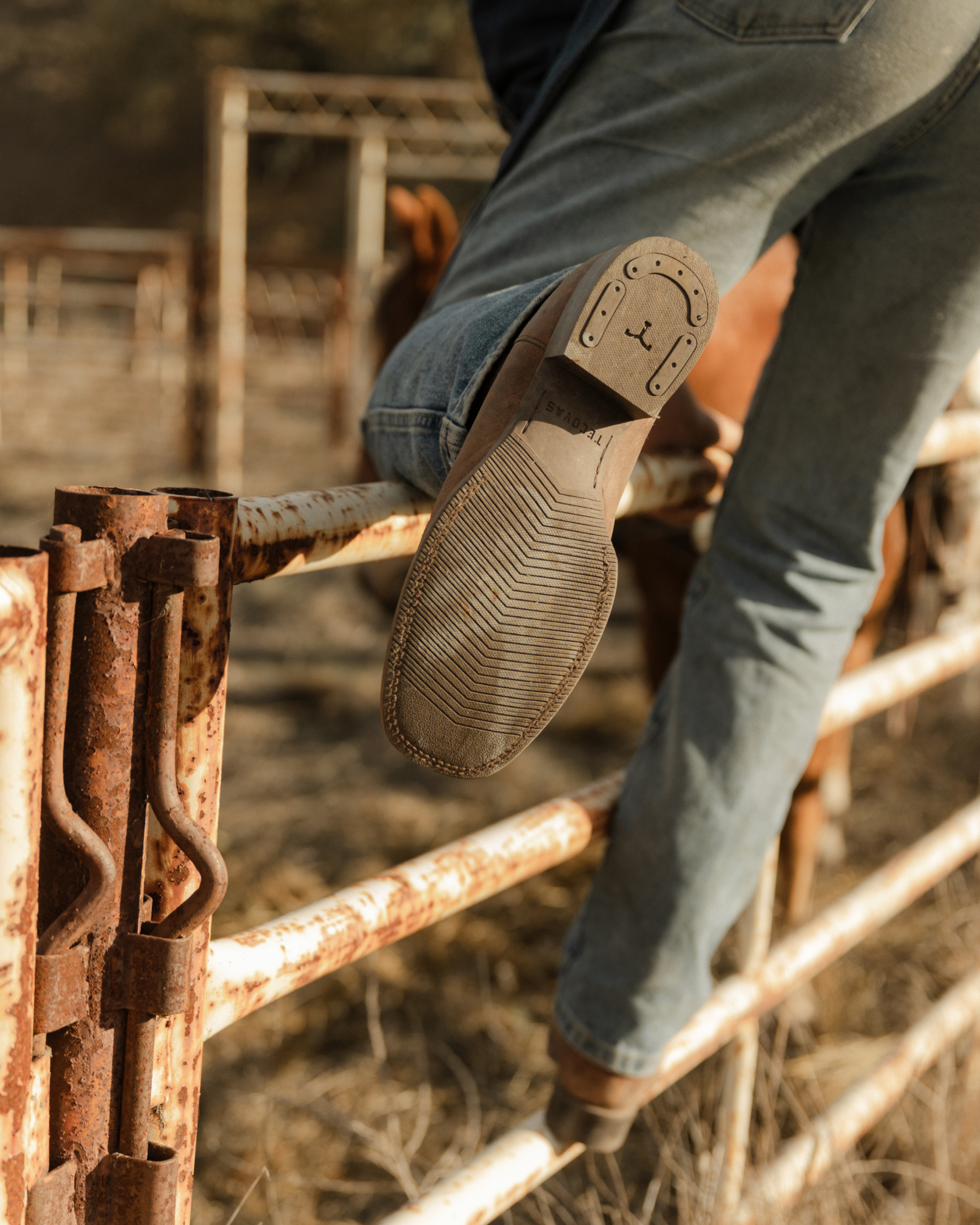 The Dusty - Cigar Cowhide