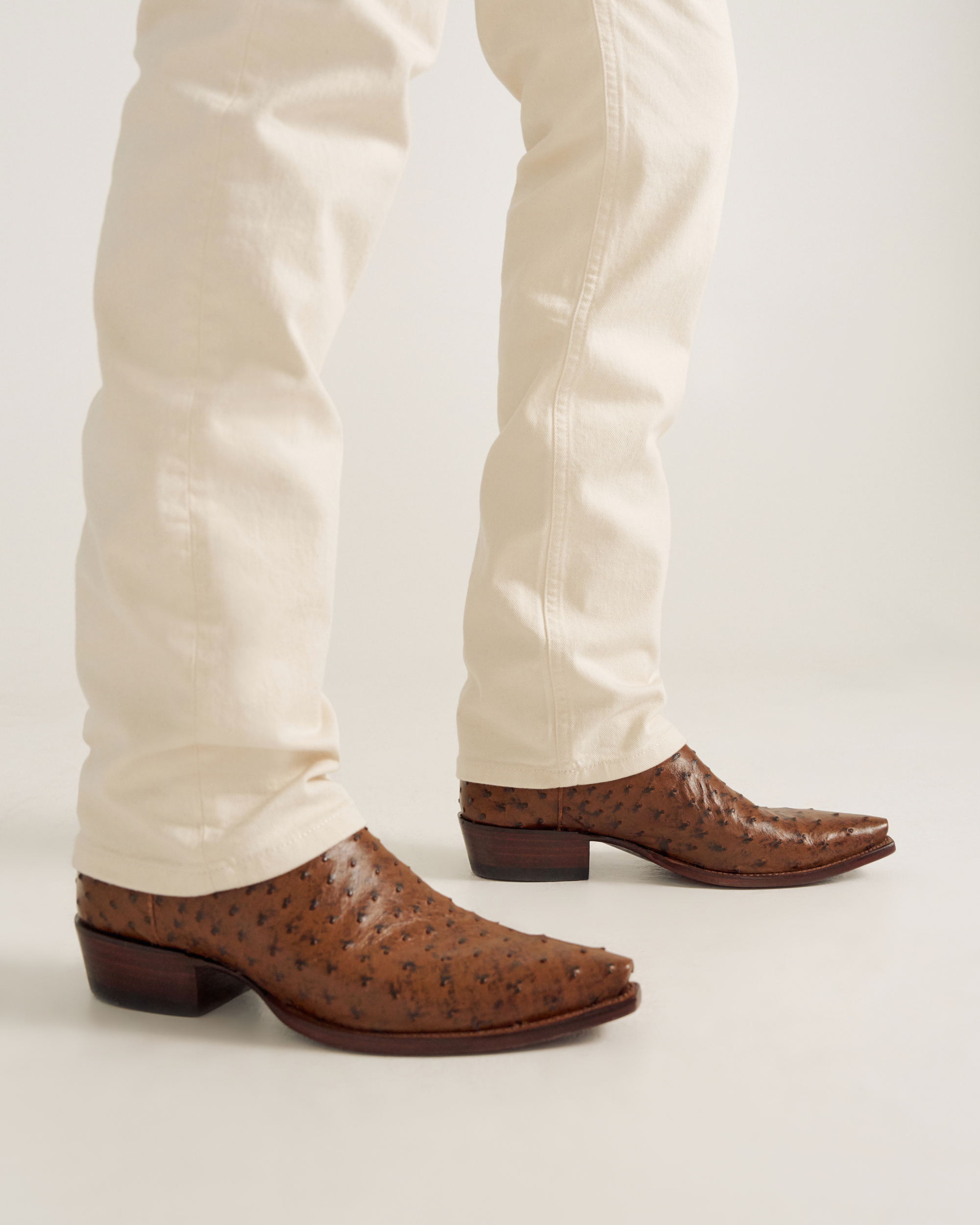 The Garrett - Peanut Ostrich