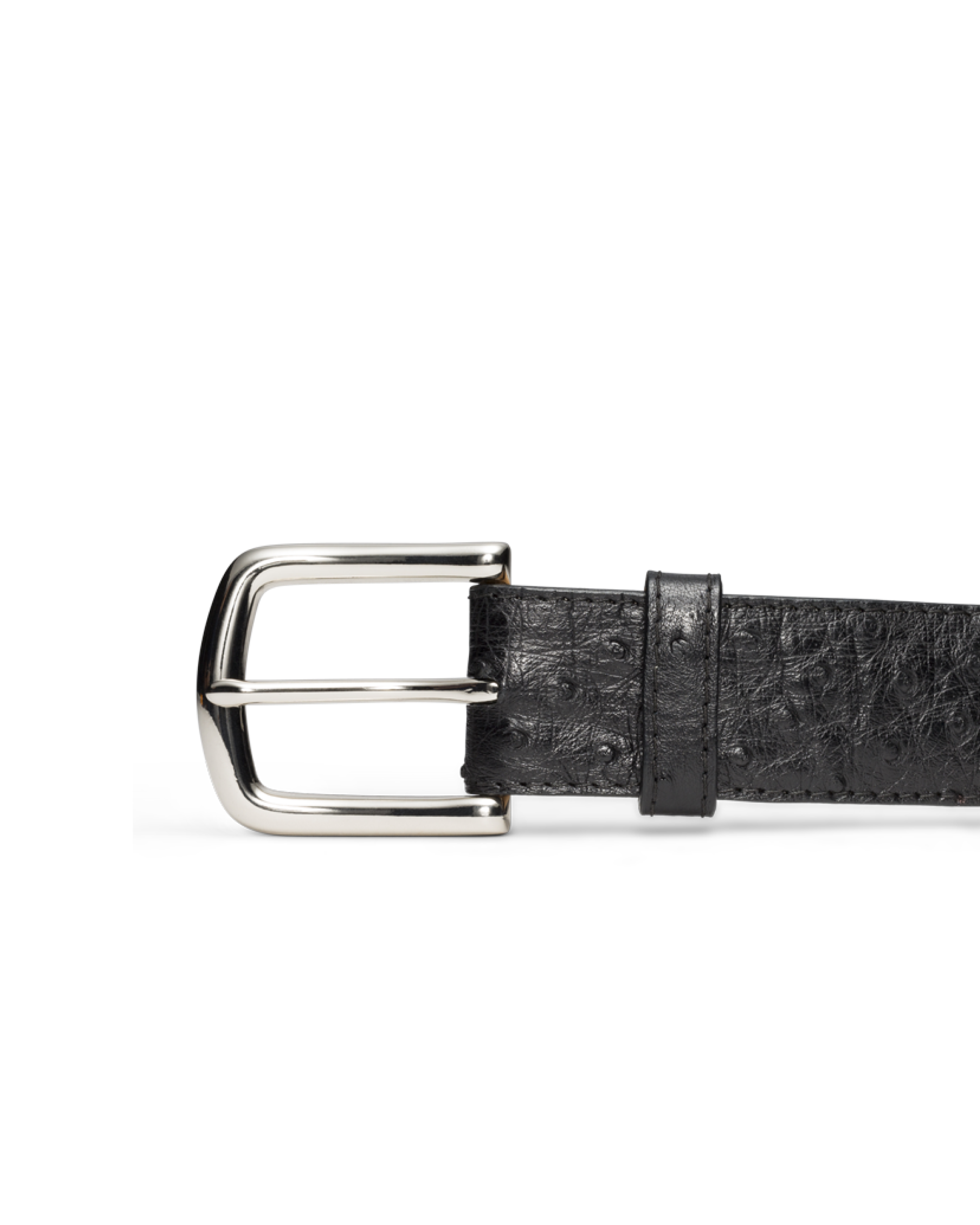 Men's Ostrich Belt - Midnight Ostrich