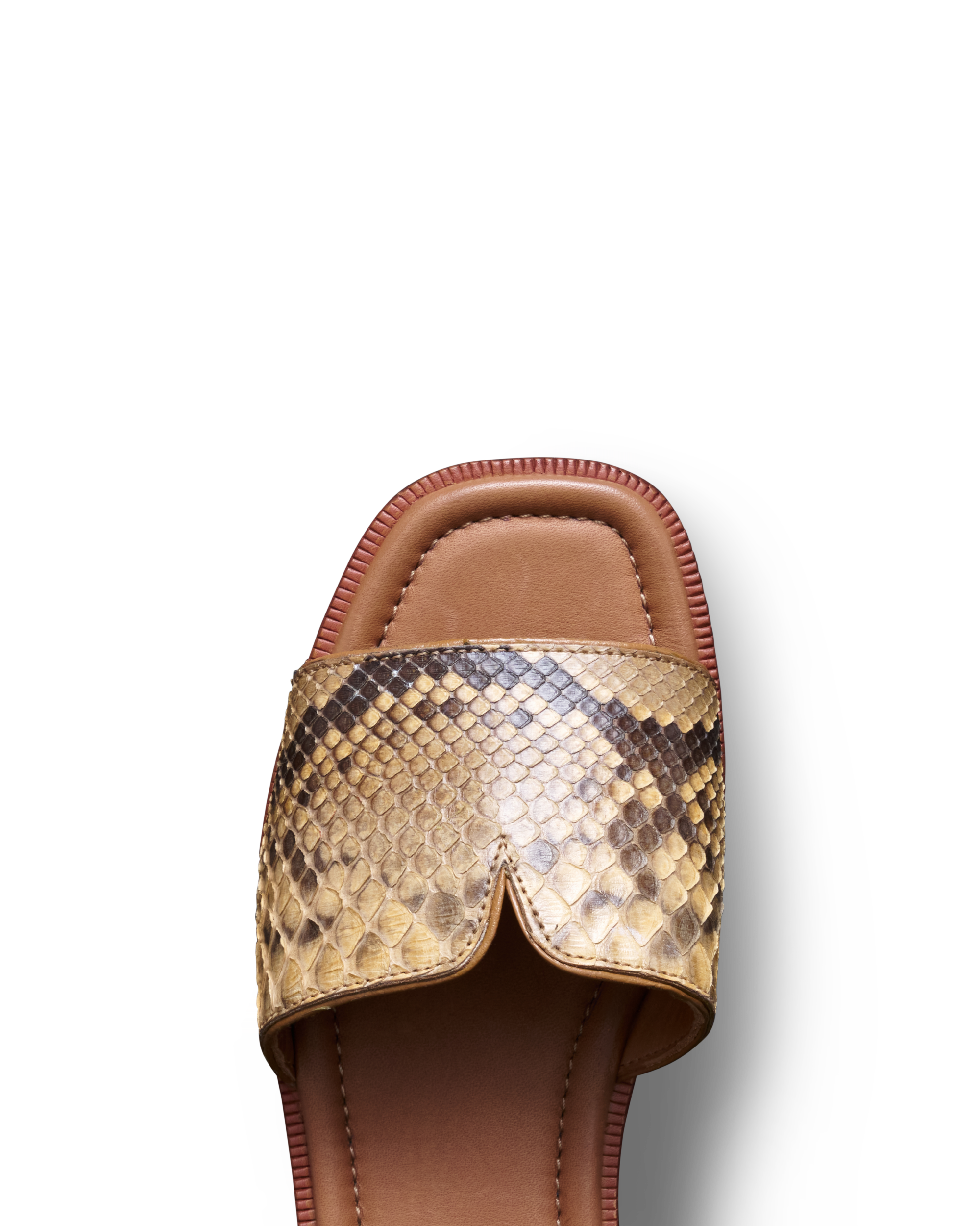 The Carmen - Black Sand Python