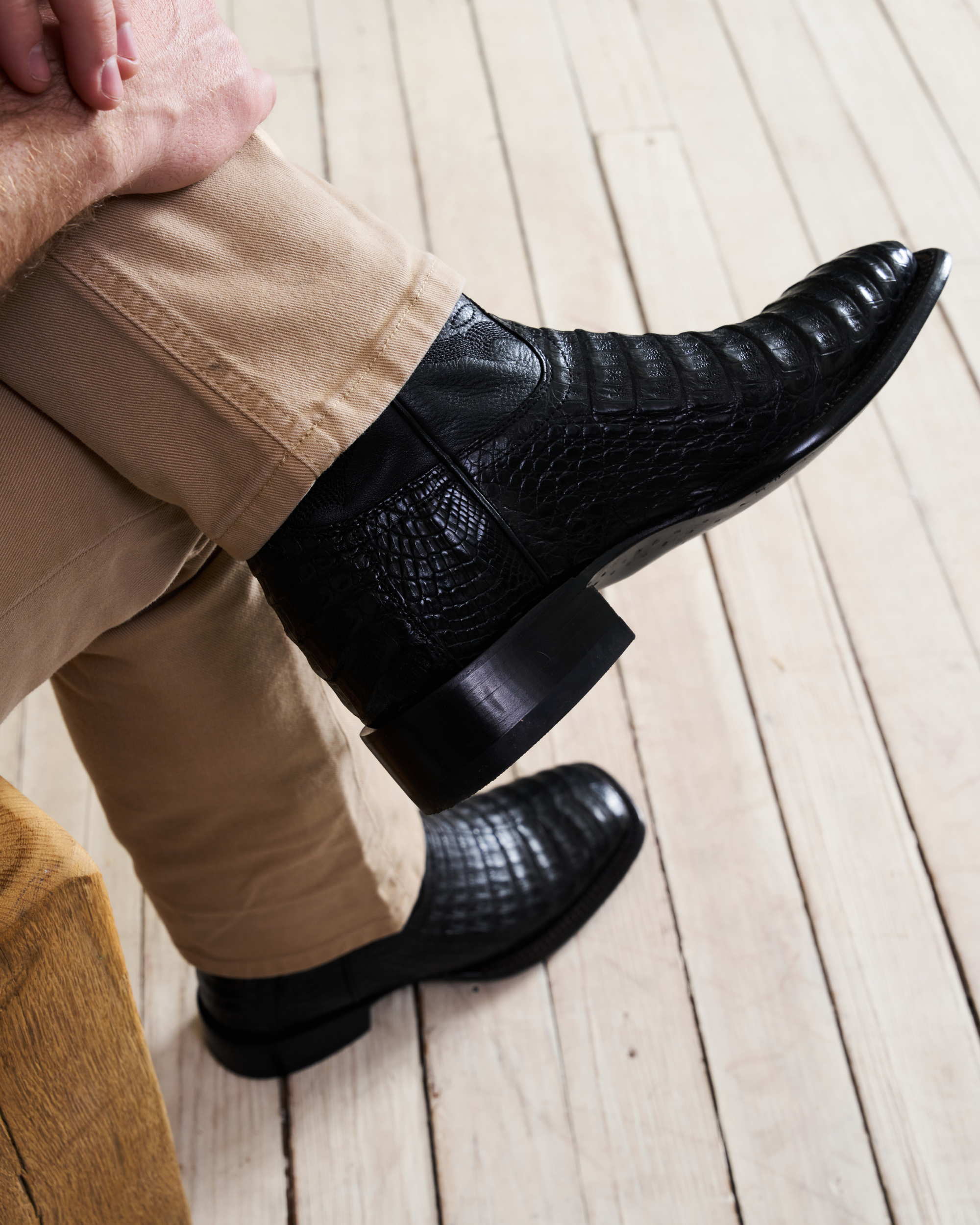 The William - Midnight Caiman