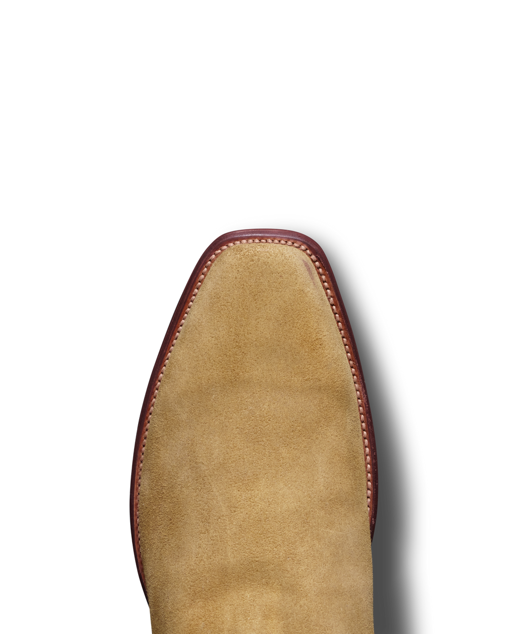 The Warren - Camel Midnight Roughout