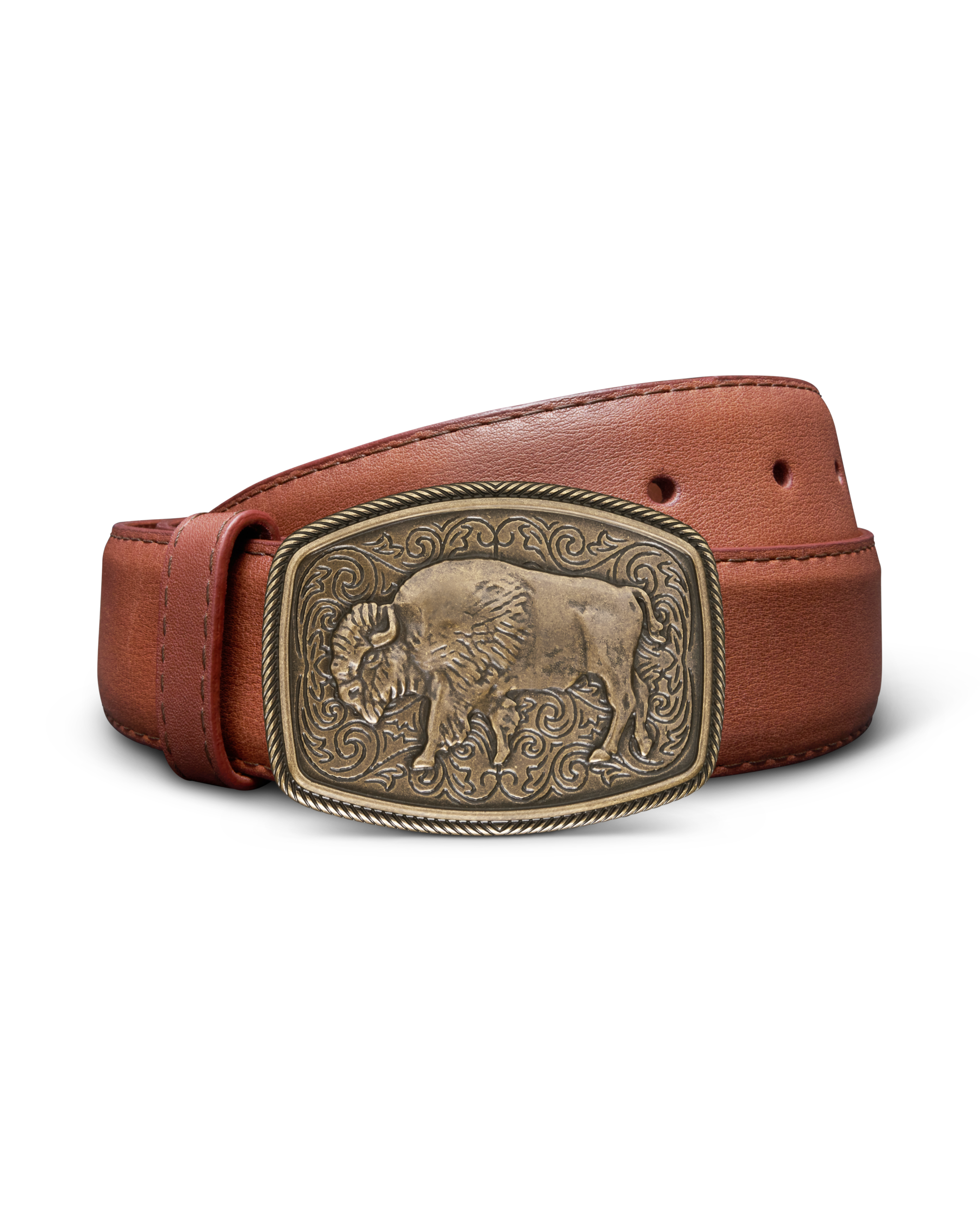 Bison Buckle - Antique Brass Metal