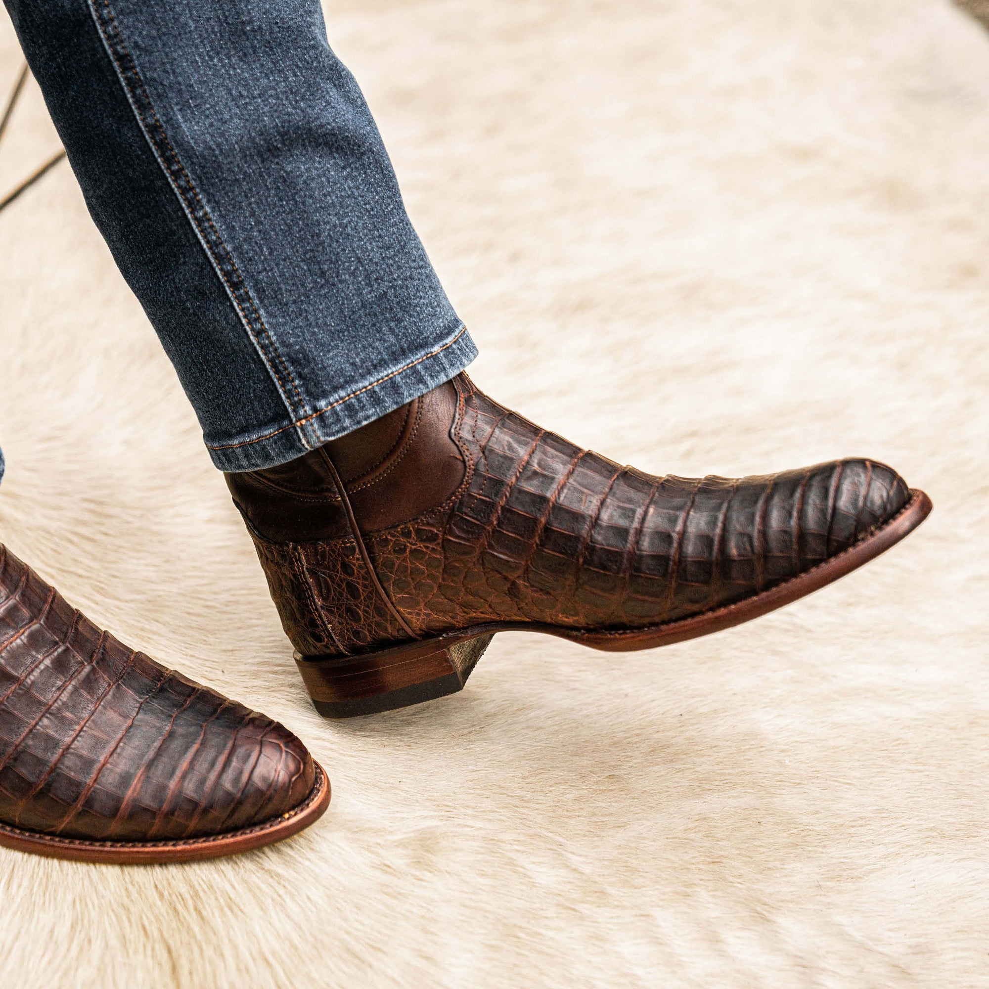 The Cole - Mahogany Caiman