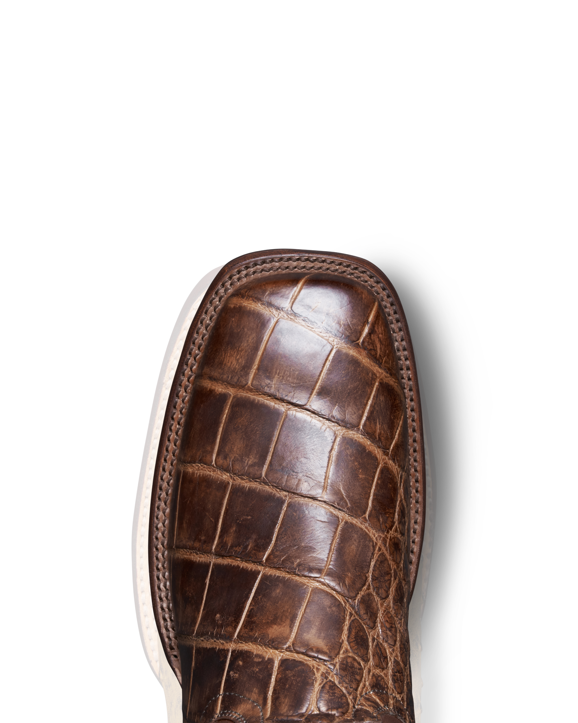 The Adams - Whiskey Giant Gator