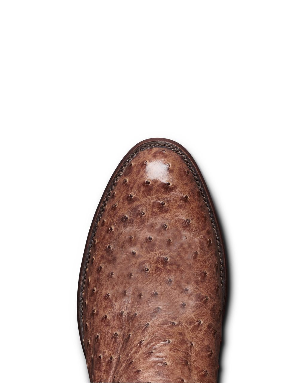 The Wyatt - Russet Ostrich