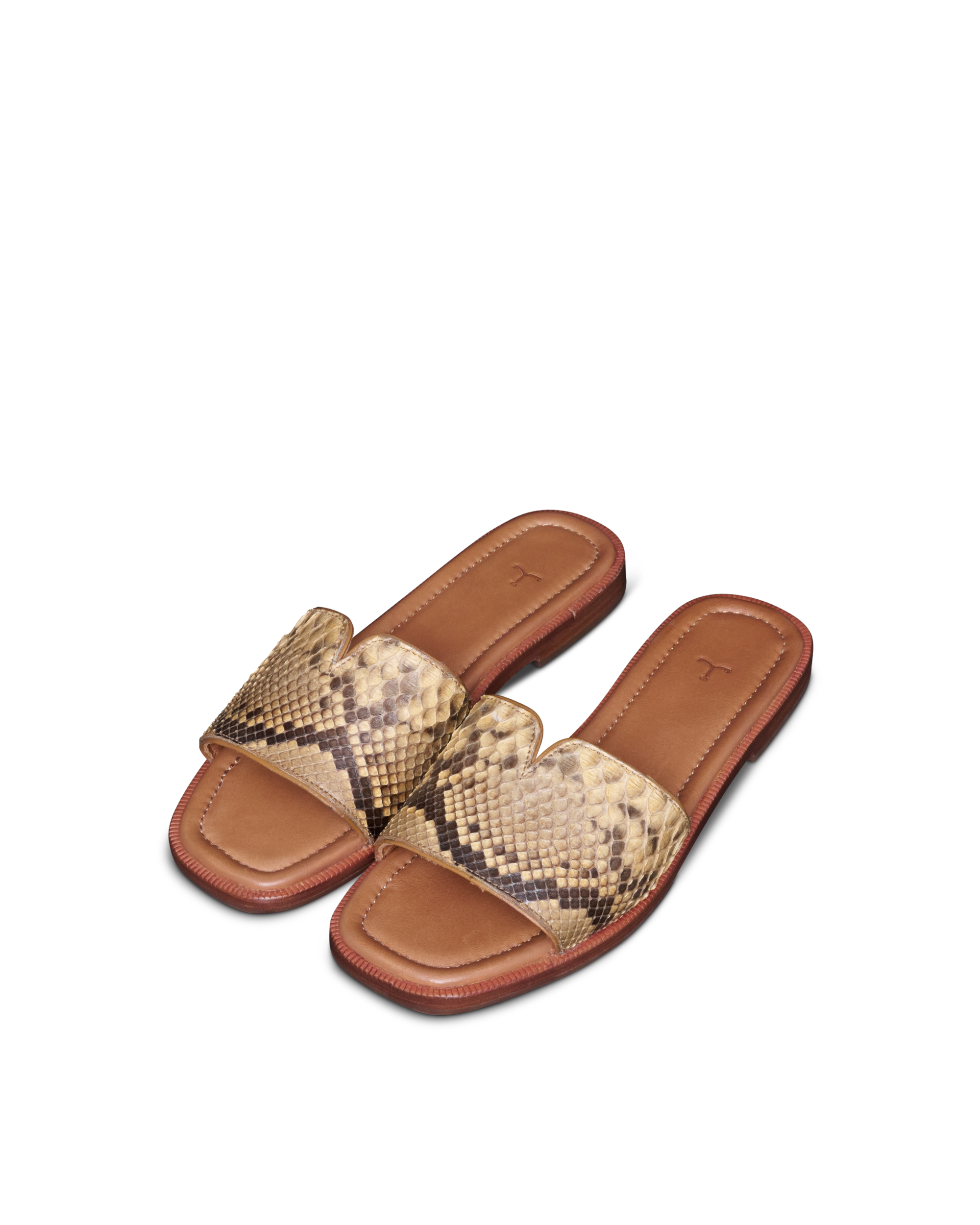 The Carmen - Black Sand Python